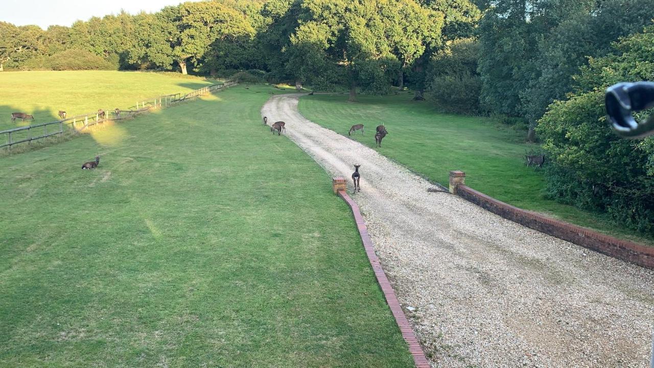 Yards Brake On 40 Acres Of Private Land Villa Langton Matravers Exteriör bild