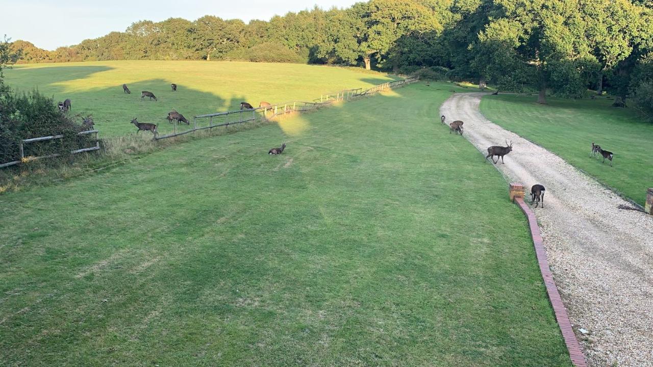 Yards Brake On 40 Acres Of Private Land Villa Langton Matravers Exteriör bild