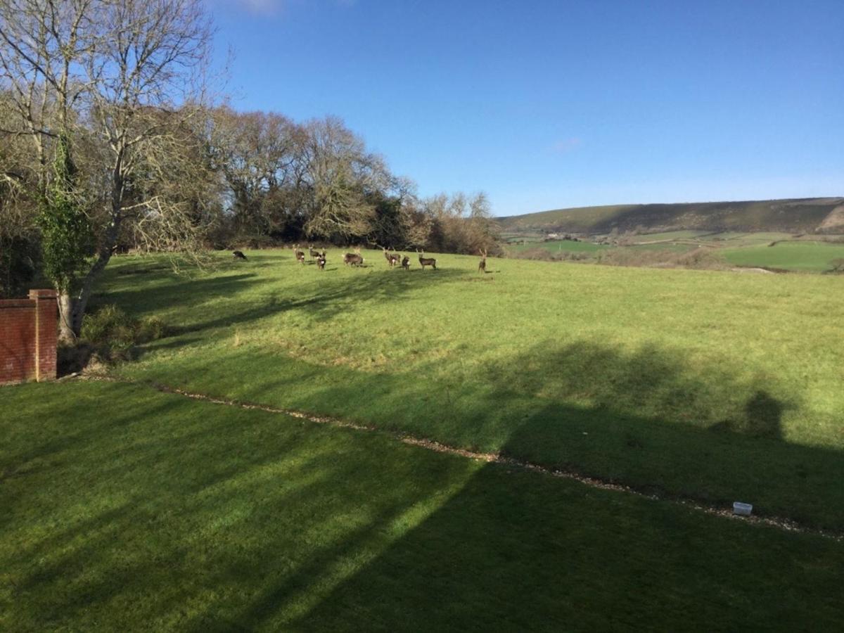 Yards Brake On 40 Acres Of Private Land Villa Langton Matravers Exteriör bild