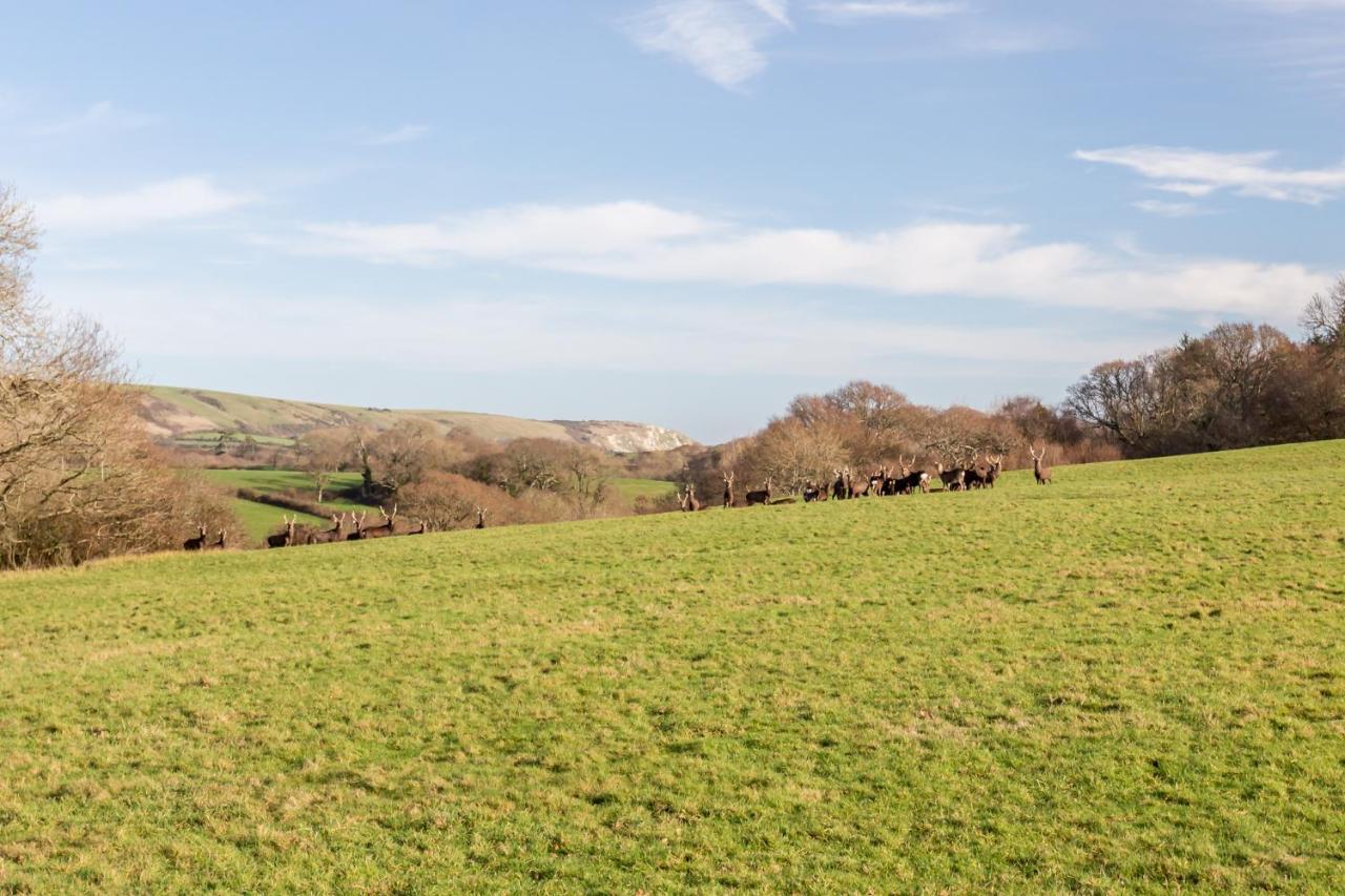 Yards Brake On 40 Acres Of Private Land Villa Langton Matravers Exteriör bild